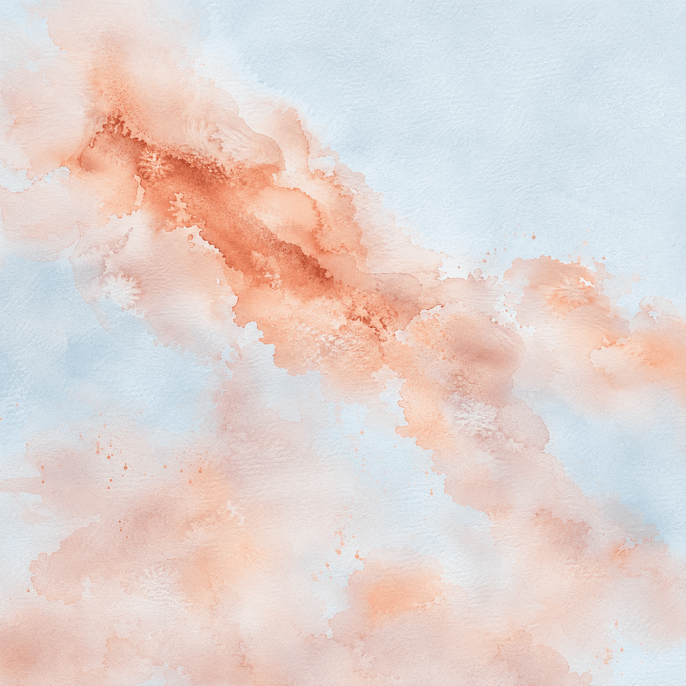 Omni Contact Header 01 — Blush Terracotta